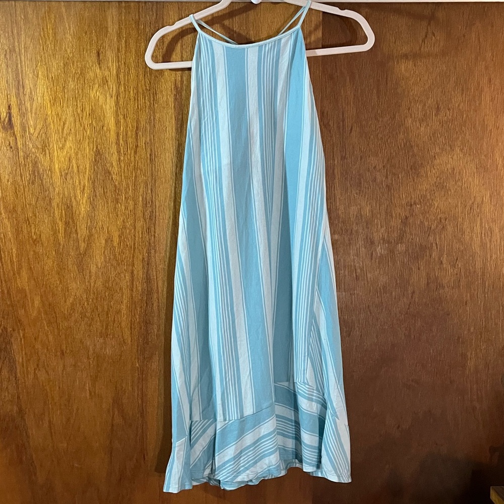 Patagonia Blue Striped Dress